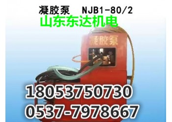 NJB1-80/2防滅火凝膠泵NJB80/2廠家