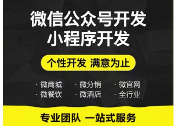 系統(tǒng)軟件、應(yīng)用軟件、網(wǎng)站開發(fā)等 微信網(wǎng)站+微信公眾號