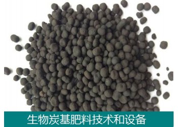 生物炭基肥料技術和設備
