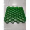4公分植草格批發(fā)/山東闊展工程材料