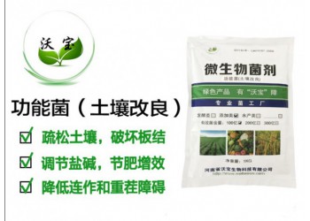 土壤改良生物菌調(diào)節(jié)土壤板結鹽堿疏松抗重茬降低連作障礙沖施肥