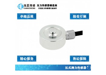 微型壓力傳感器_微型測(cè)力傳感器CAZF-Y20