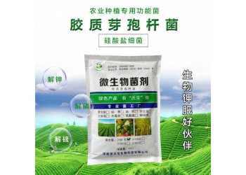 膠質芽孢桿菌膠凍樣芽孢桿菌硅酸鹽細菌活孢子原菌粉有機拌種蘸根