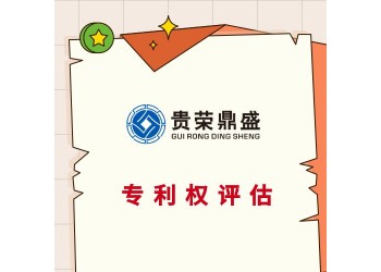 沈陽市專利出資評估軟著實繳評估商標(biāo)價值評估知識產(chǎn)權(quán)評估