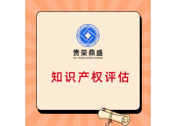 合肥市專利商標(biāo)軟著評估無形資產(chǎn)評估知識產(chǎn)權(quán)評估