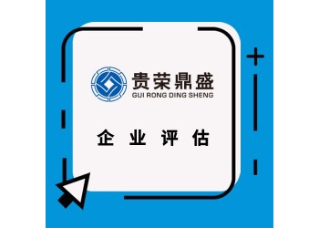 贛州市企業(yè)重組整合評估企業(yè)并購剝離評估員工持股評估