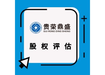 廣東省中山市企業凈資產評估