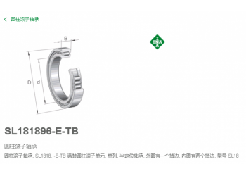 代理德國INA軸承SL181896-E-TB