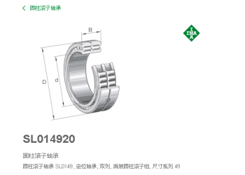 代理德國INA軸承SL014920-A