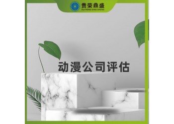 上海市無形資產(chǎn)評估動漫公司評估今日推薦