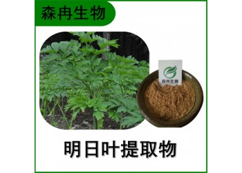 森冉生物 明日葉提取物 八丈草提取物 比例提取原料粉