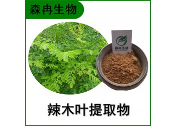 森冉生物 辣木葉提取物 辣木葉粉 鼓槌樹葉提取物