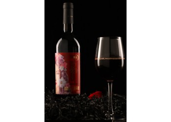 翁虹代言紅酒品牌緋虹絲路酒莊赤霞珠干紅葡萄酒750ml