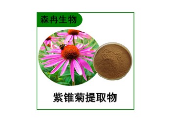 森冉生物 紫錐菊提取物 松果菊提取物 比例提取原料粉